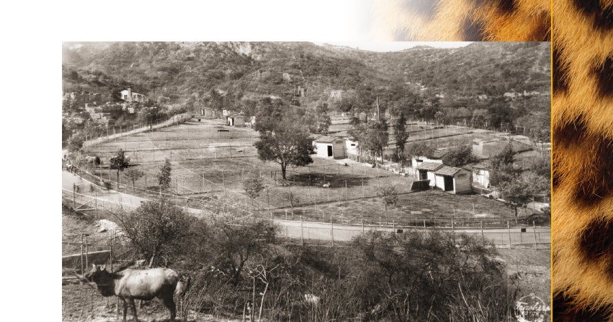 An early photo of the zoo.
