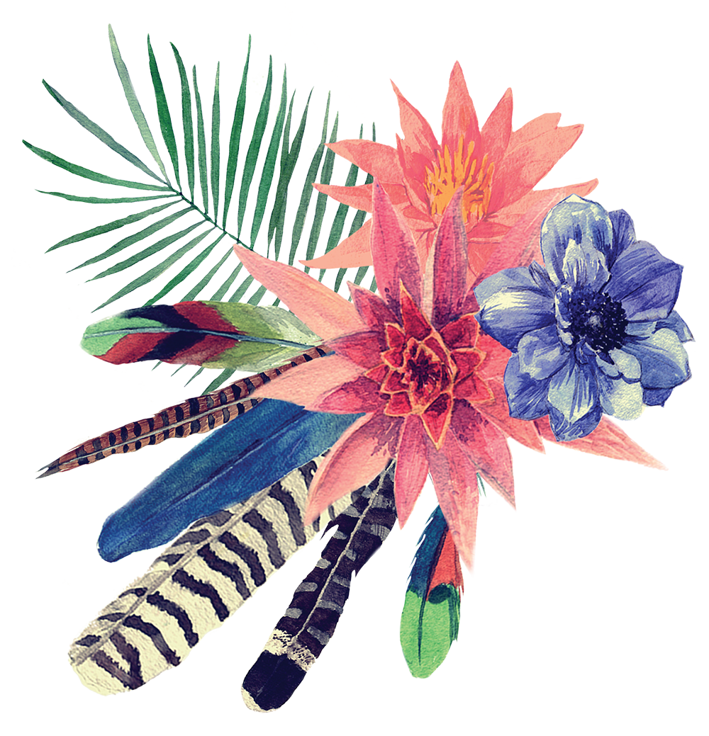 graphic of Watercolor Flowers and Feathers