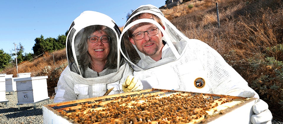 Barbara Baer-Imhoof, left, and Boris Baer at UCR’s Center for Integrative Bee Research apiary.